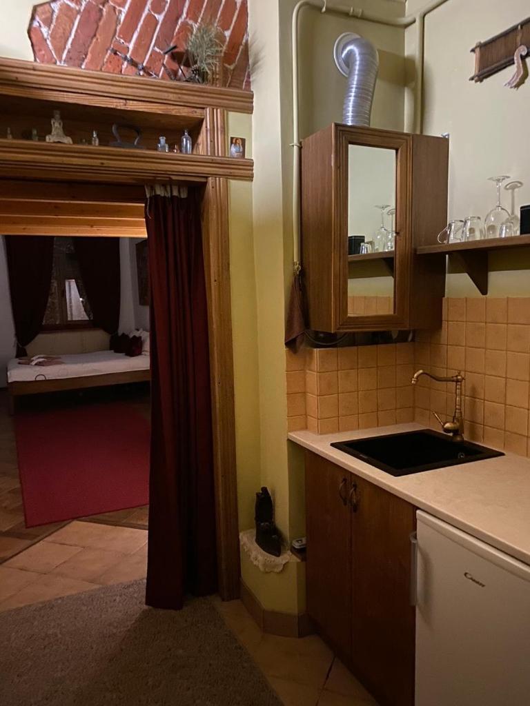 Museum Apartments Lviv Luaran gambar
